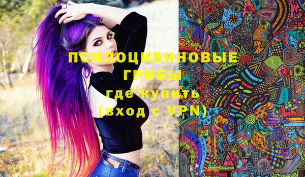 трава Вязьма
