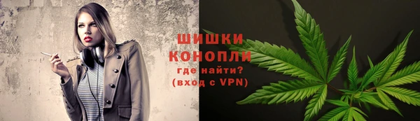 гидропоника Вяземский