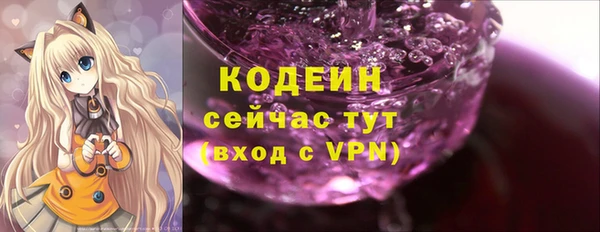 дурь Гусиноозёрск